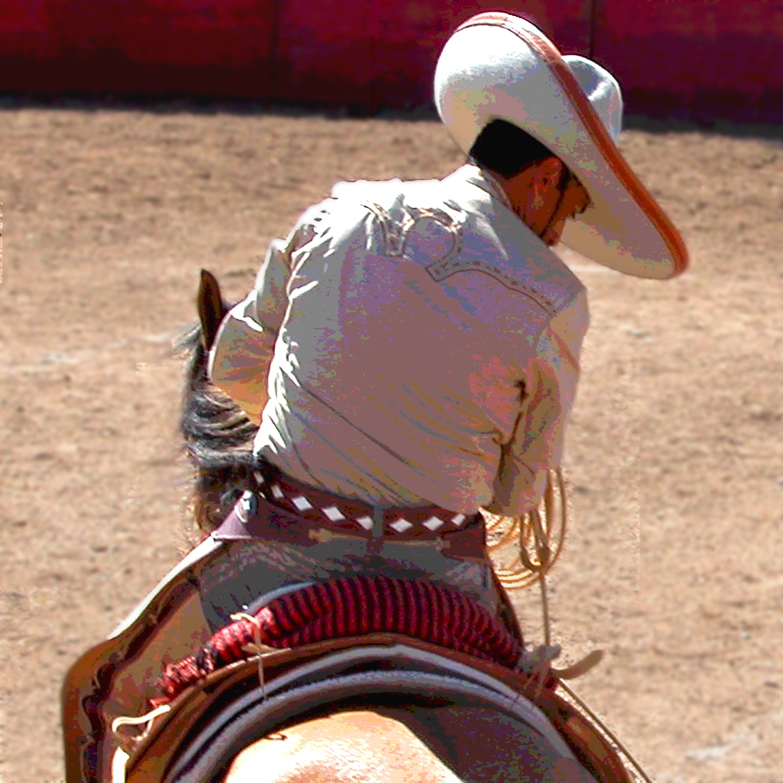 Charro 4