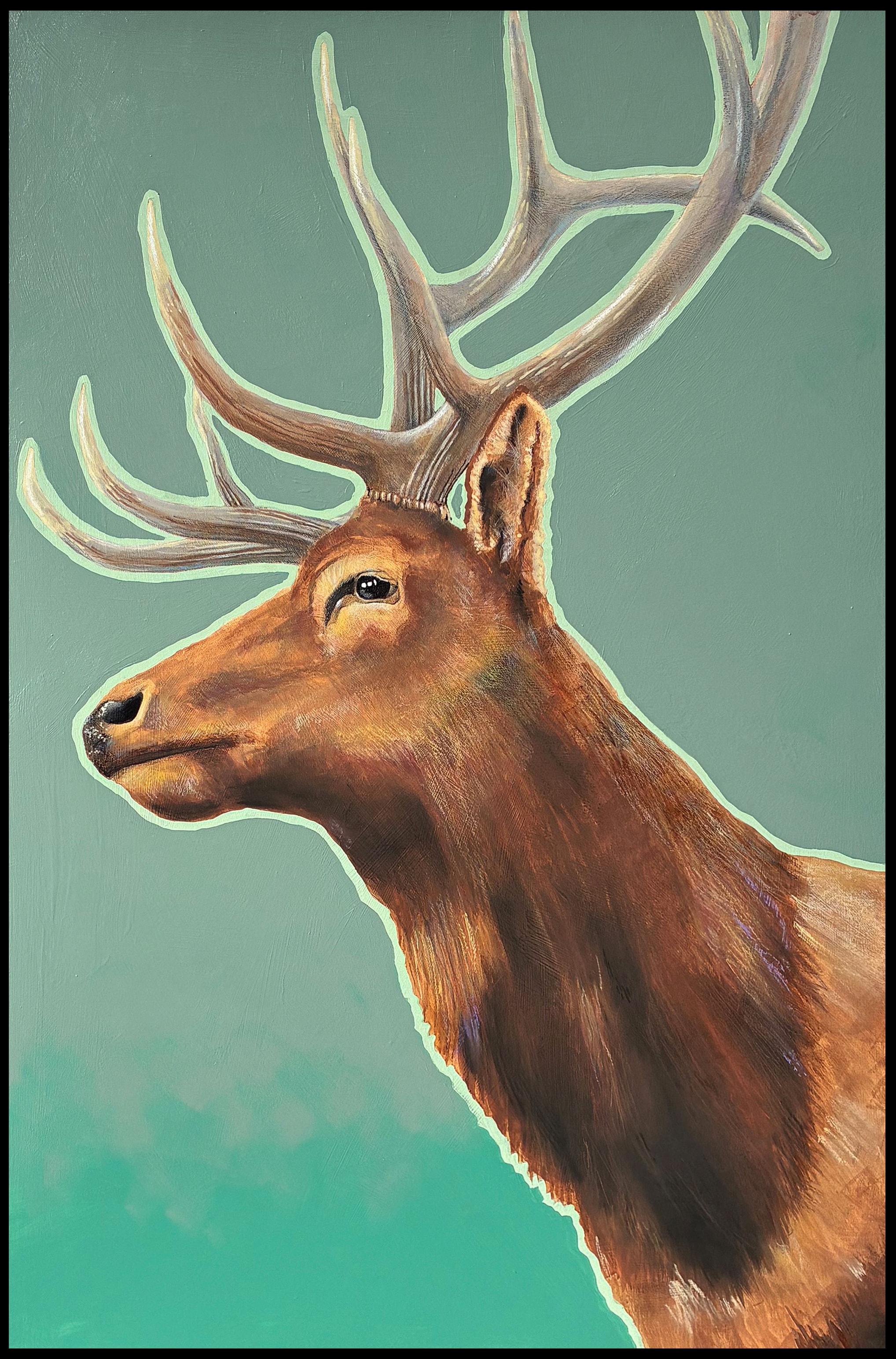 Elk Portrait
