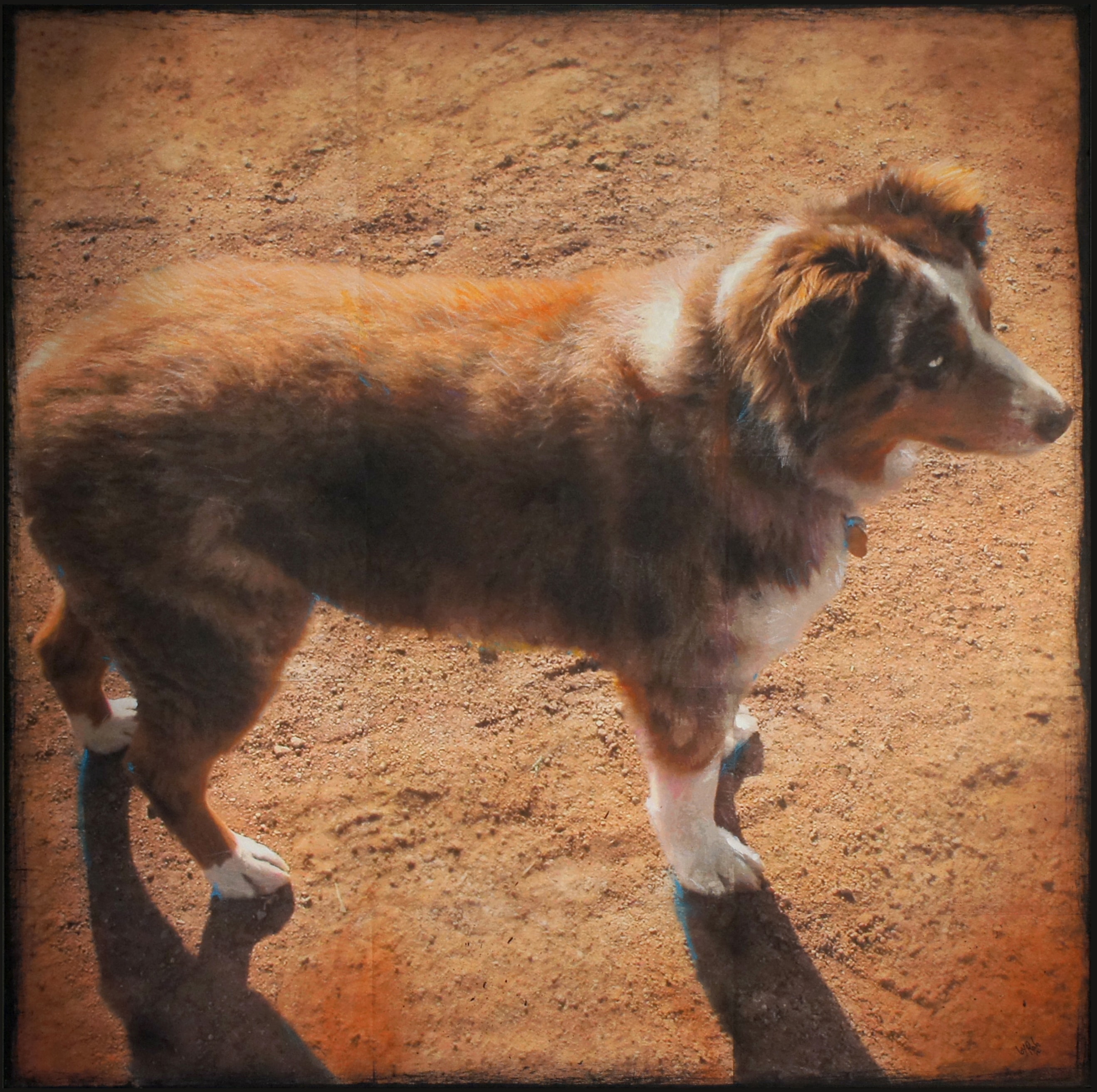 Ranch Hand