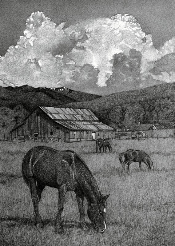 Summer in the Rockies