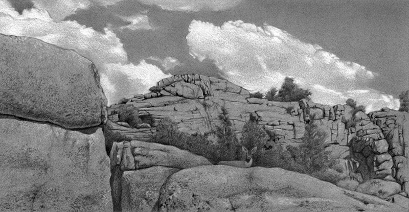 Watson Lake Muley