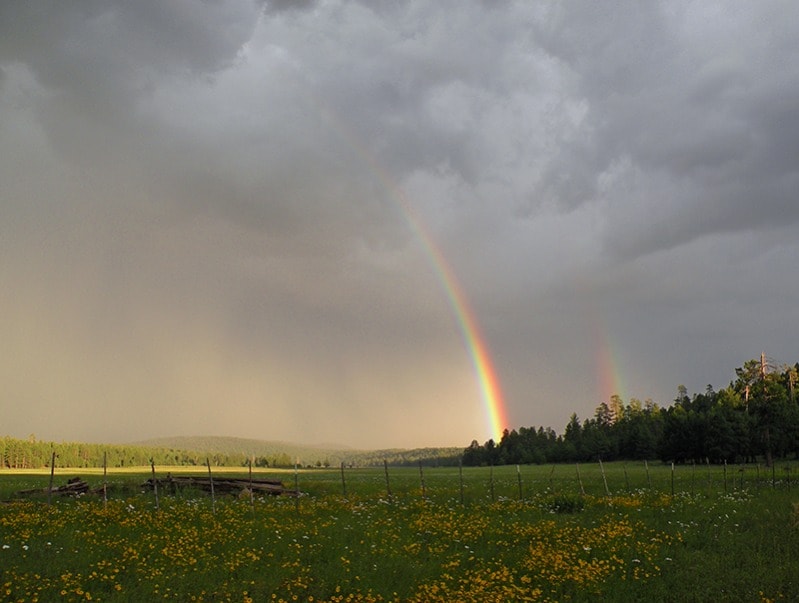 Munds Park Shower