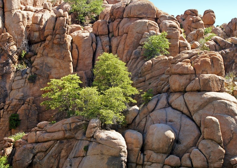 Watson Lake